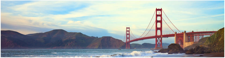 Banner Image 1